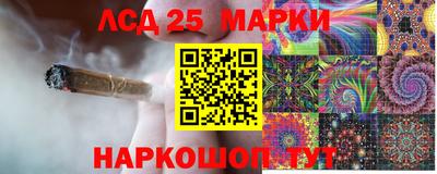 винт Сланцы