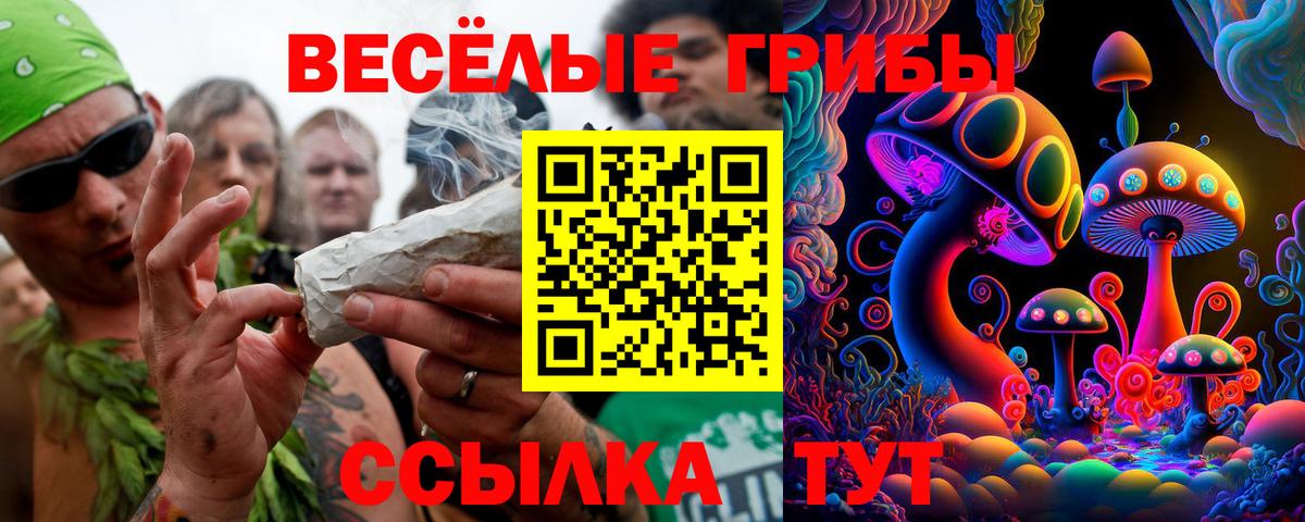 Полысаево  сколько стоит  Галлюциногенные грибы мицелий  Вход с VPN  Псилоцибиновые грибы ЛСД 